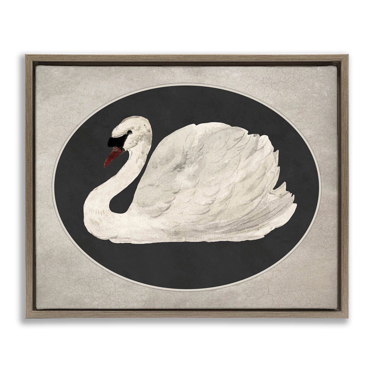 Stupell Industries Vintage Swan in Rounded Oval Floating Frame By Lettered and Lined